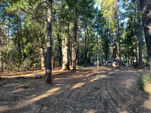 a view of road with trees