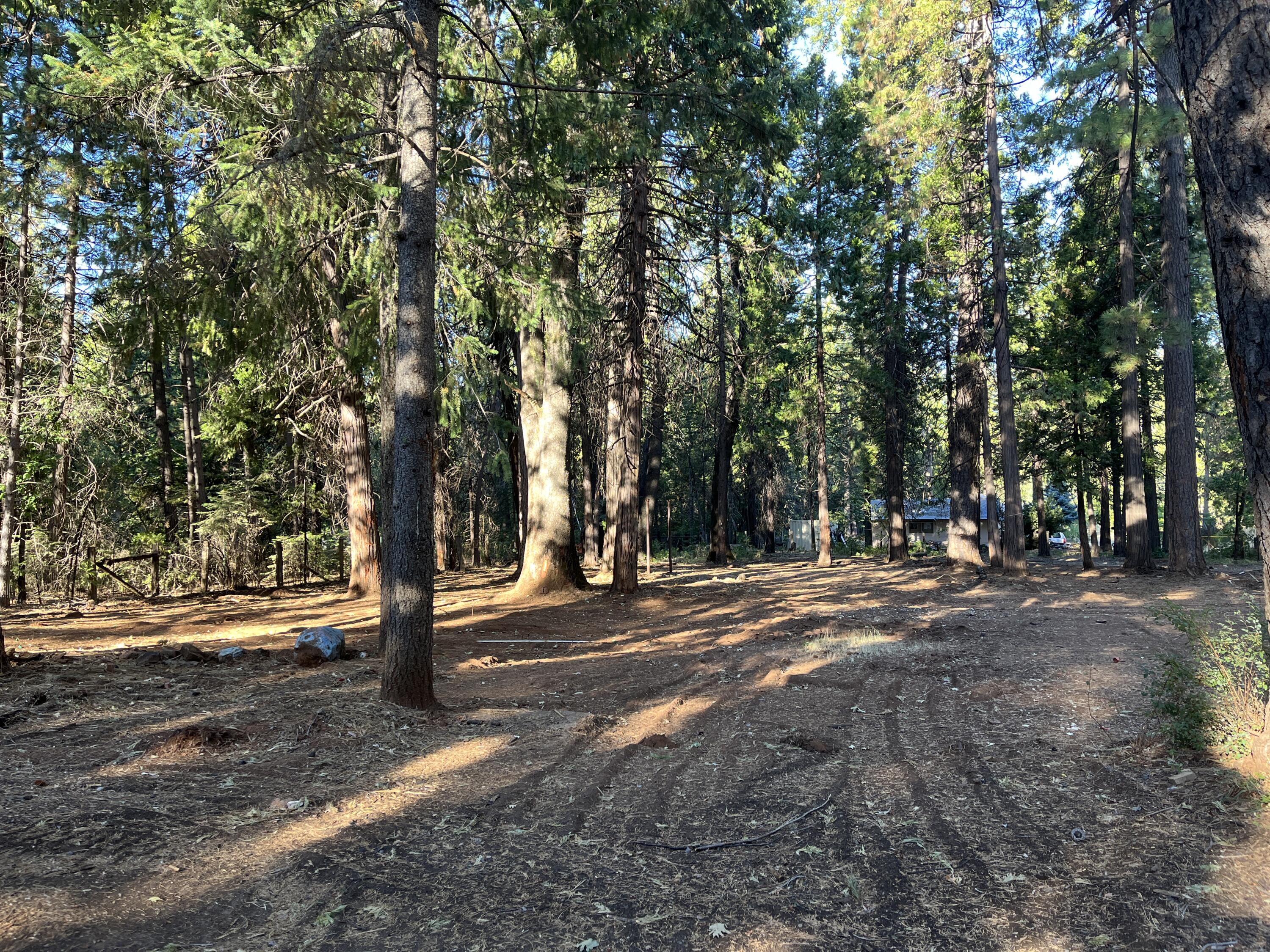 Alward Way Shingletown, CA 96088 - Photo 4 of 6 a view of road with trees