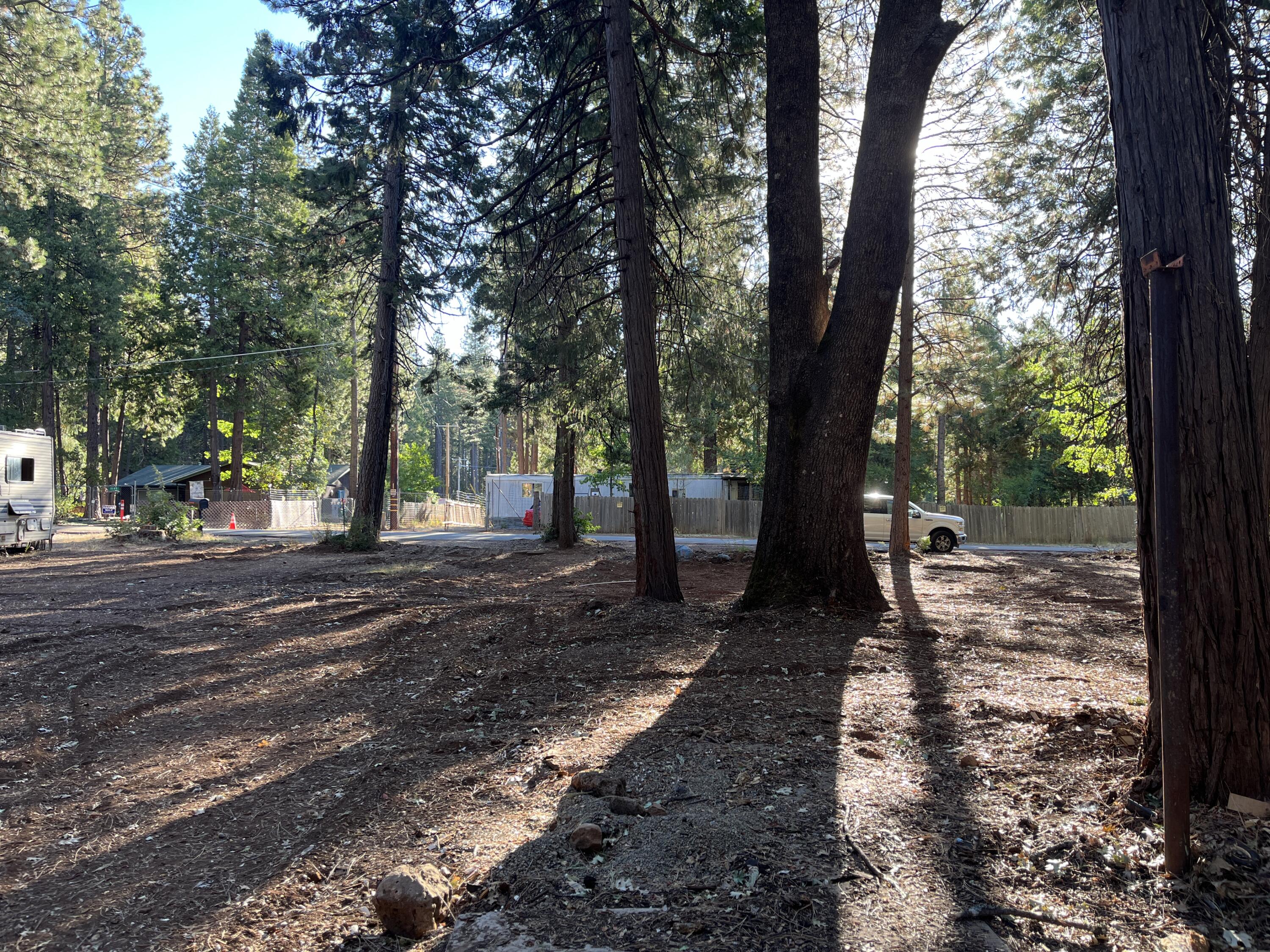 Alward Way Shingletown, CA 96088 - Photo 5 of 6 a view of a tree in the garden