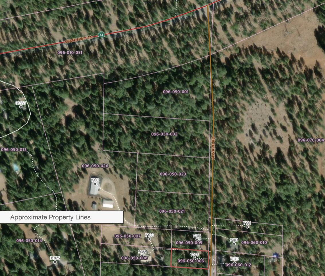 Alward Way Shingletown, CA 96088 - Photo 6 of 6 a picture of a tree in a city