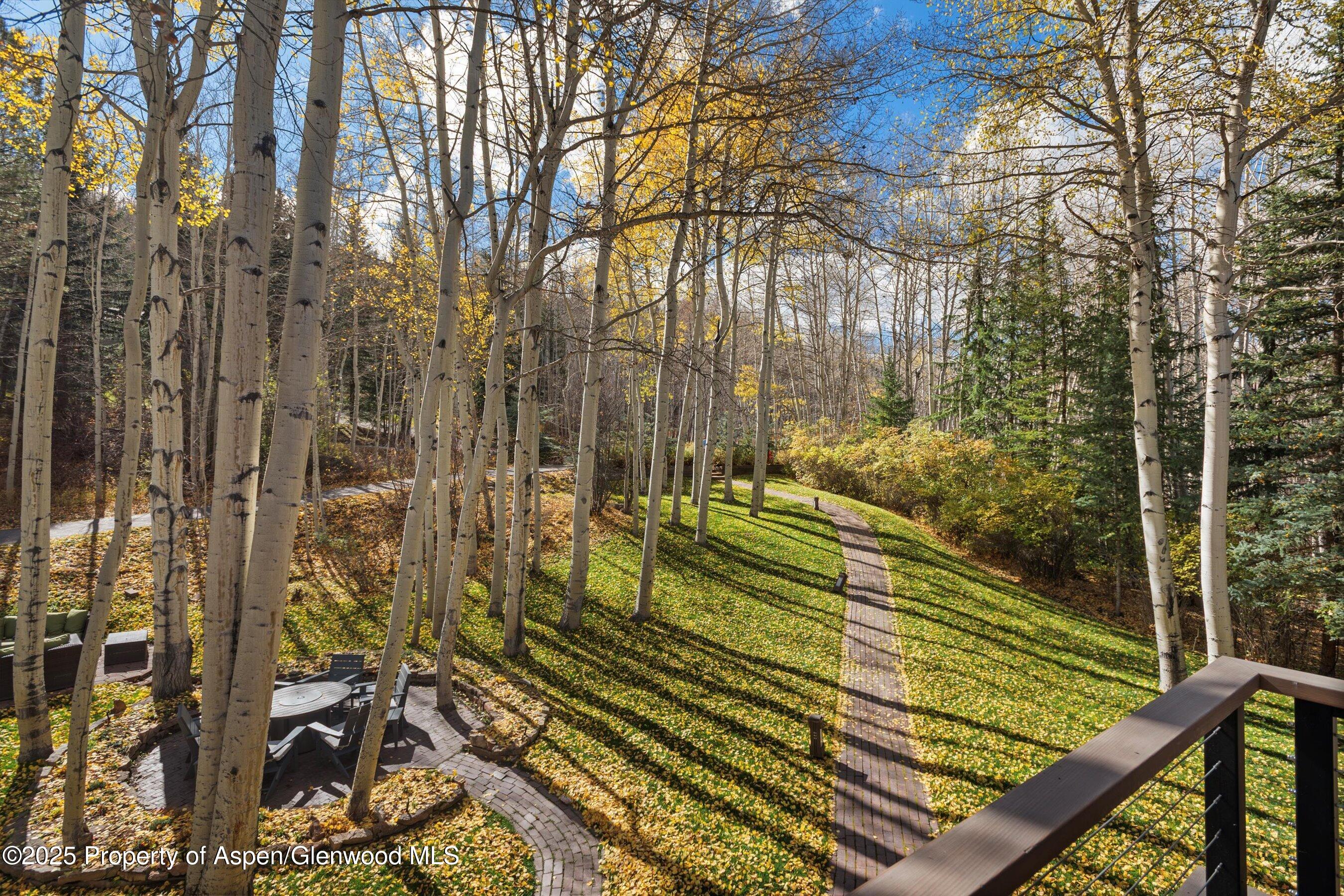 626 Faraway Road Snowmass Village, CO 81615 - Photo 23 of 23 a view of a yard with plants and wooden fence
