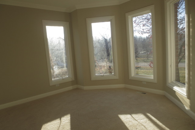 3702 West Homestead Trail Crystal Lake, IL 60012 - Photo 4 of 19