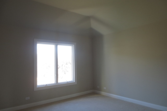 3702 West Homestead Trail Crystal Lake, IL 60012 - Photo 8 of 19