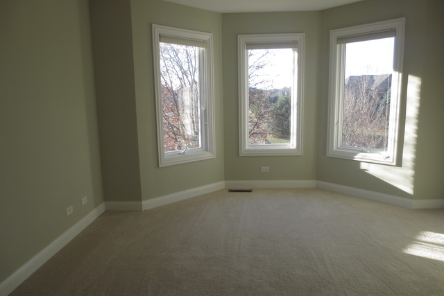 3702 West Homestead Trail Crystal Lake, IL 60012 - Photo 10 of 19