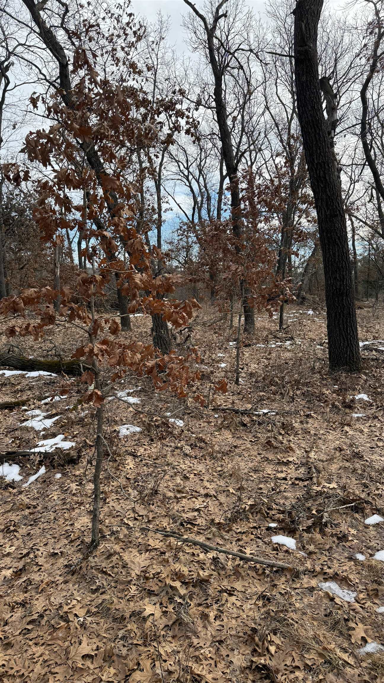 Horkan Road New Lisbon, WI 53950 - Photo 3 of 9