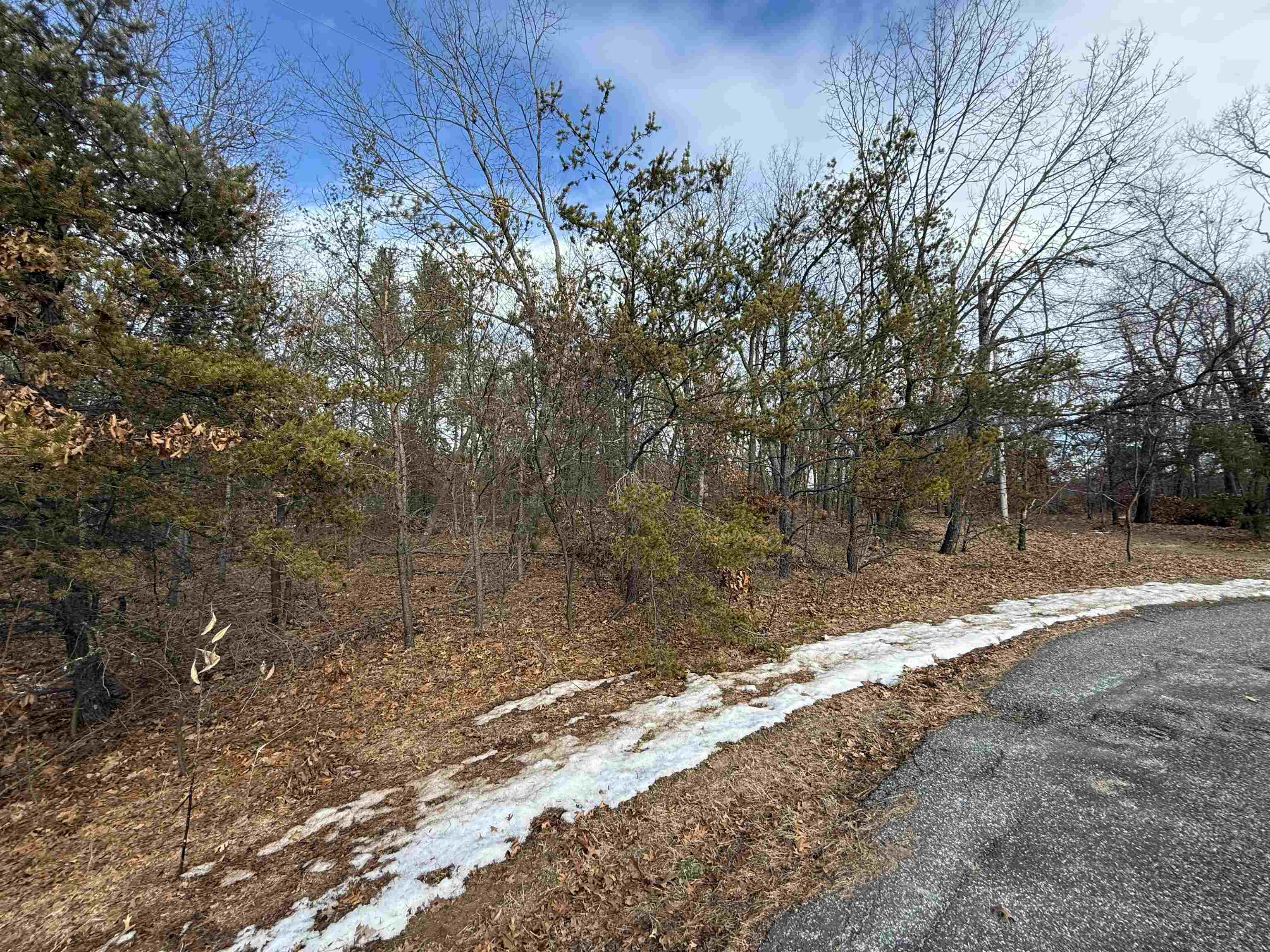 Horkan Road New Lisbon, WI 53950 - Photo 8 of 9