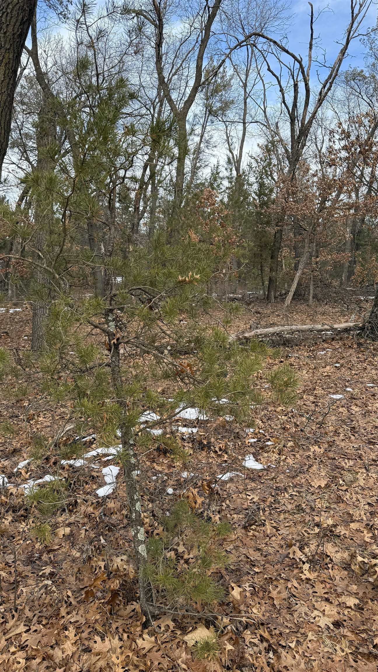 Horkan Road New Lisbon, WI 53950 - Photo 9 of 9