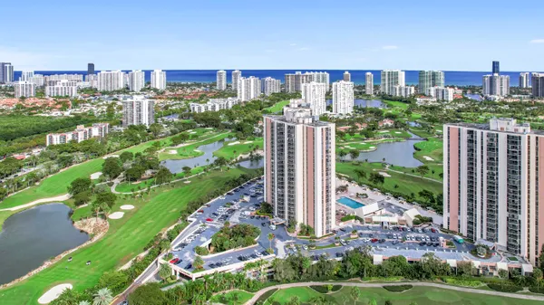 a view of a garden with plants