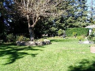 3065 Marc Way Santa Rosa, CA 95403 - Photo 3 of 10 a view of a park with large trees