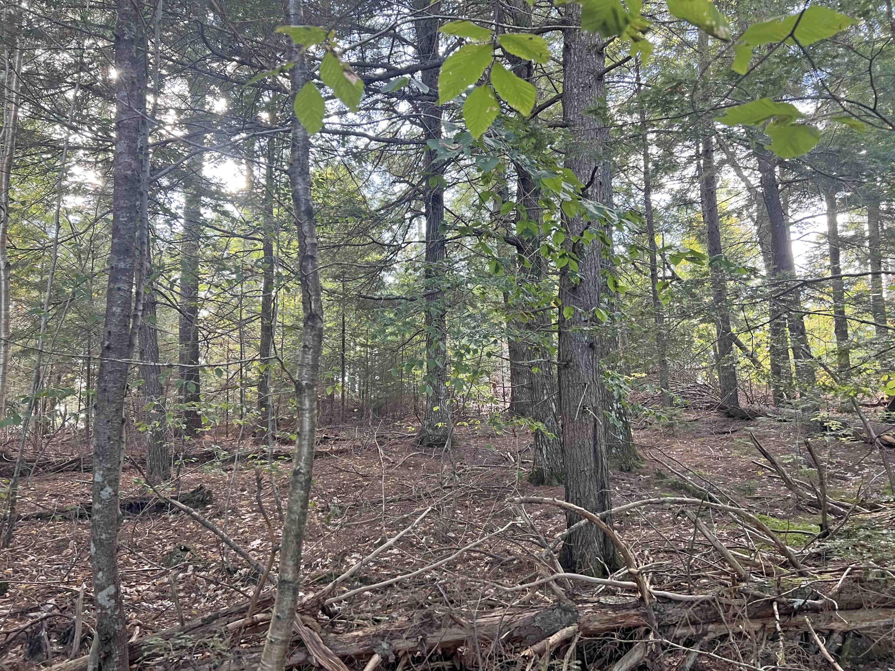 0 Beech Ridge Lane Ellsworth, ME 04605 - Photo 13 of 17 1l