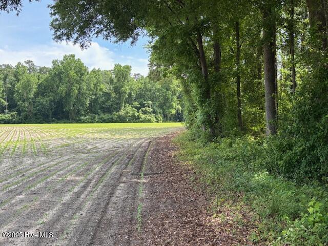 425 Biddle Road Dover, NC 28526 - Photo 8 of 52 IMG_0932