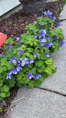 $425,000 | 906 Sheyenne Street, West Fargo, ND 58078