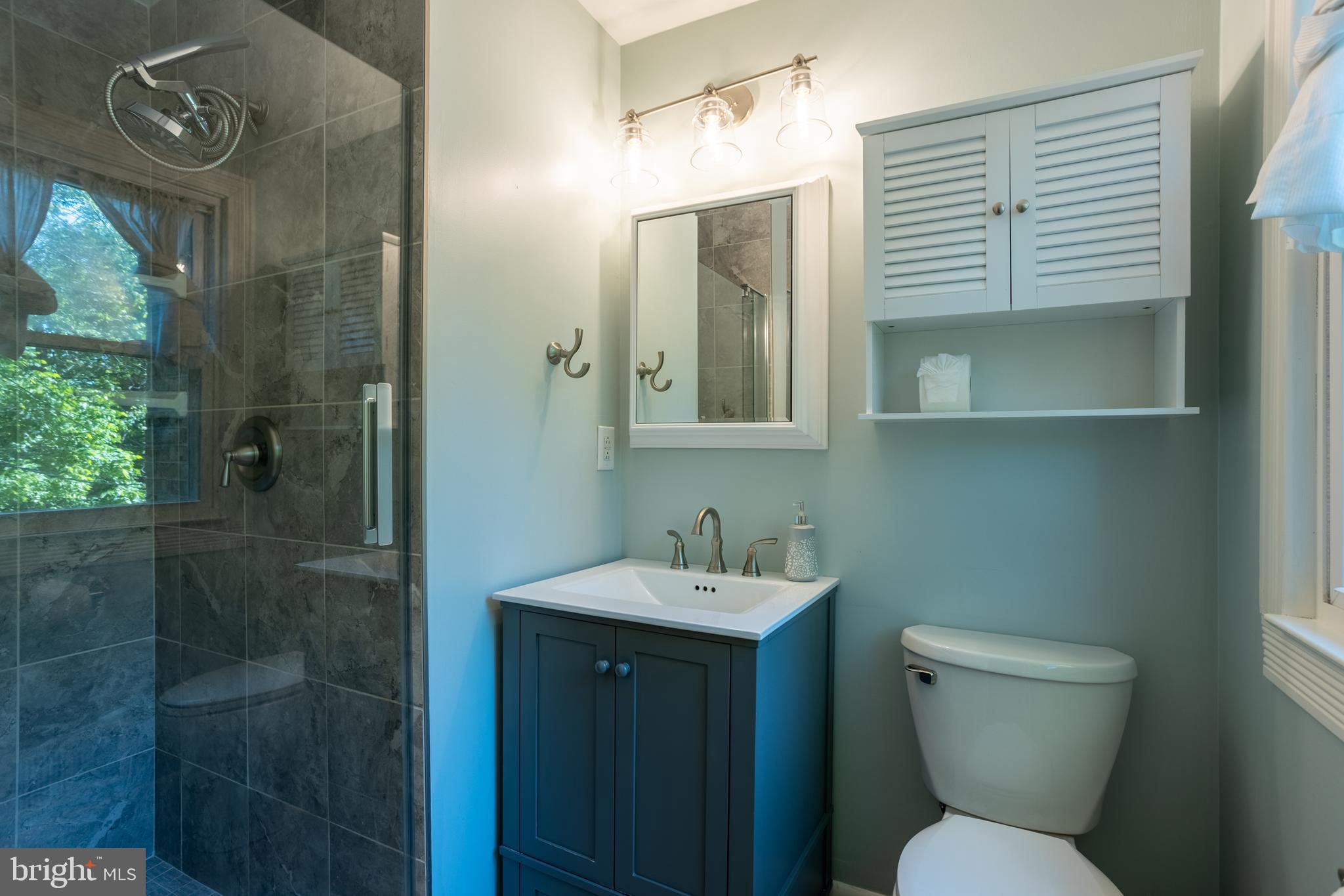 217 Brightdale Road Lutherville-Timonium, MD 21093 - Photo 28 of 29 Primary Bathroom