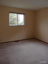 434 Forder Road St. Louis, MO 63129 - Photo 29 of 56 Gallery Image 29