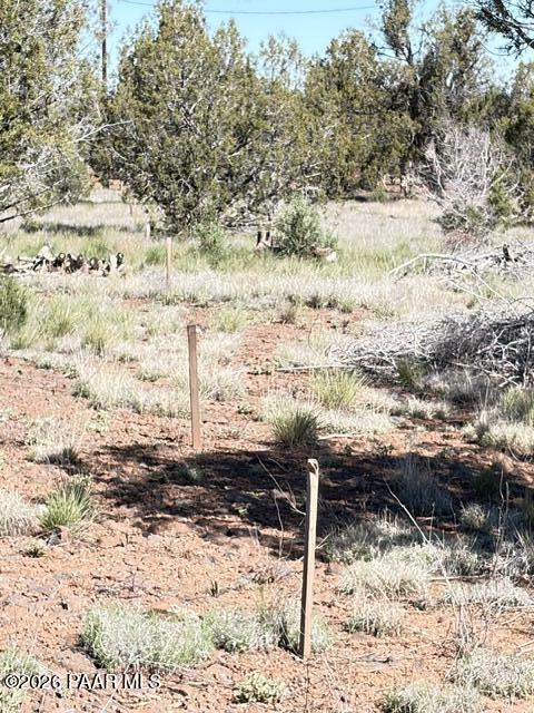 4176 Double A Ranch Road Williams, AZ 86046 - Photo 12 of 17 a view of a yard covered with snow