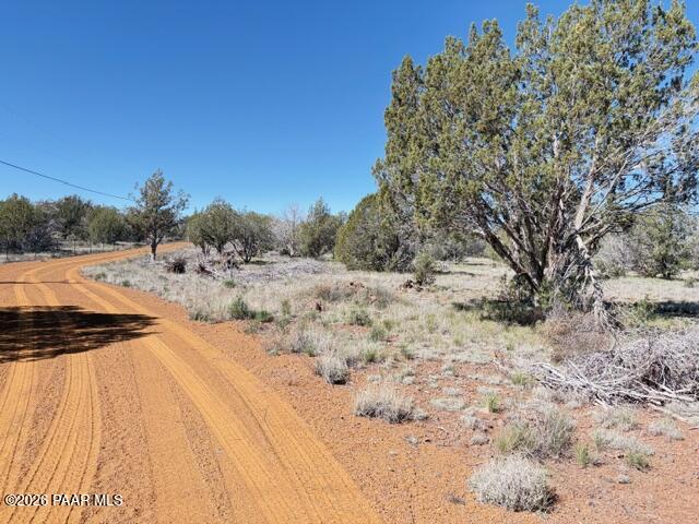 4176 Double A Ranch Road Williams, AZ 86046 - Photo 13 of 17 a view of a dry yard with trees in the background