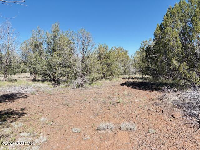 4176 Double A Ranch Road Williams, AZ 86046 - Photo 4 of 17 a view of a dry yard with trees in the background
