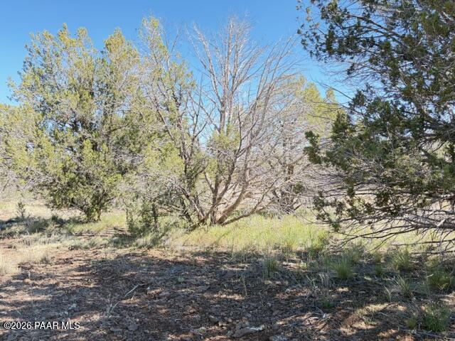 4176 Double A Ranch Road Williams, AZ 86046 - Photo 5 of 17 a view of a yard