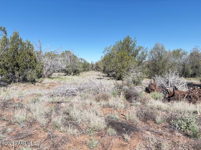 4176 Double A Ranch Road Williams, AZ 86046 - Photo 7 of 17 a view of a dry yard with trees