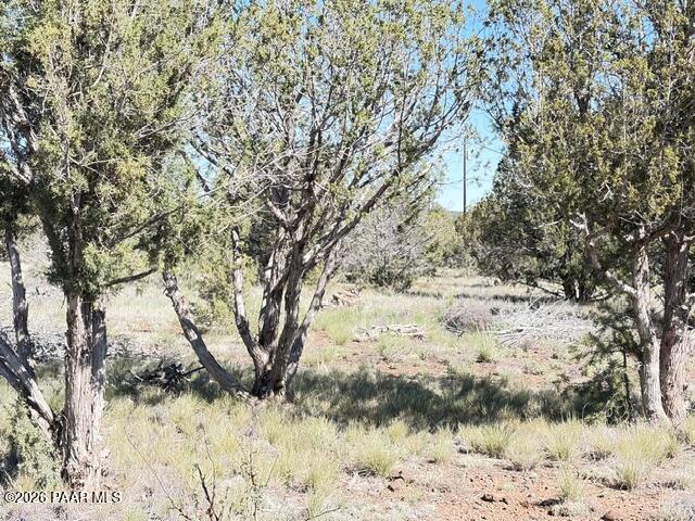 4176 Double A Ranch Road Williams, AZ 86046 - Photo 8 of 17 a view of a snow in a yard