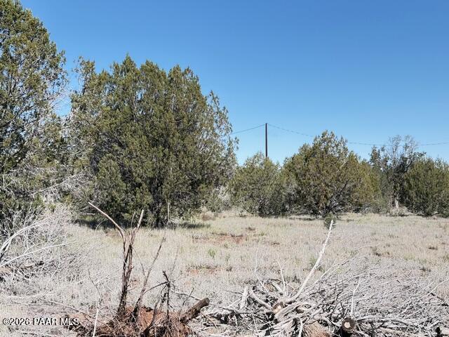 4176 Double A Ranch Road Williams, AZ 86046 - Photo 9 of 17 a view of a covered with snow in the background