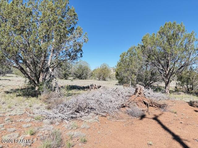 4176 Double A Ranch Road Williams, AZ 86046 - Photo 10 of 17 a view of a dry yard with trees