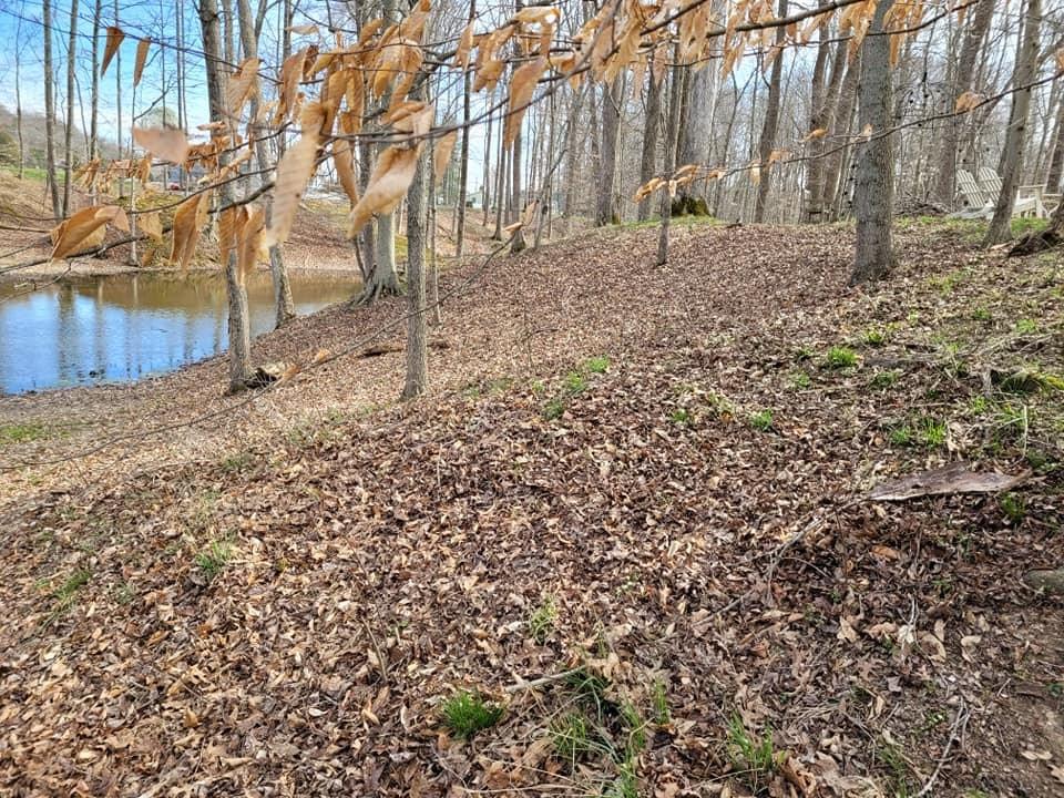 1715 Inverness Road Perry Park, KY 40363 - Photo 15 of 48 Gallery Image 15