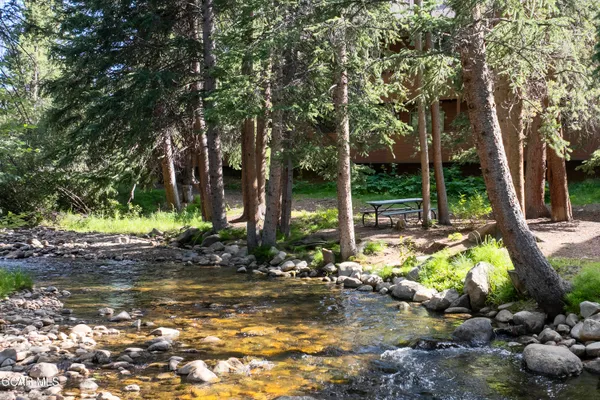 a view of a yard with large trees