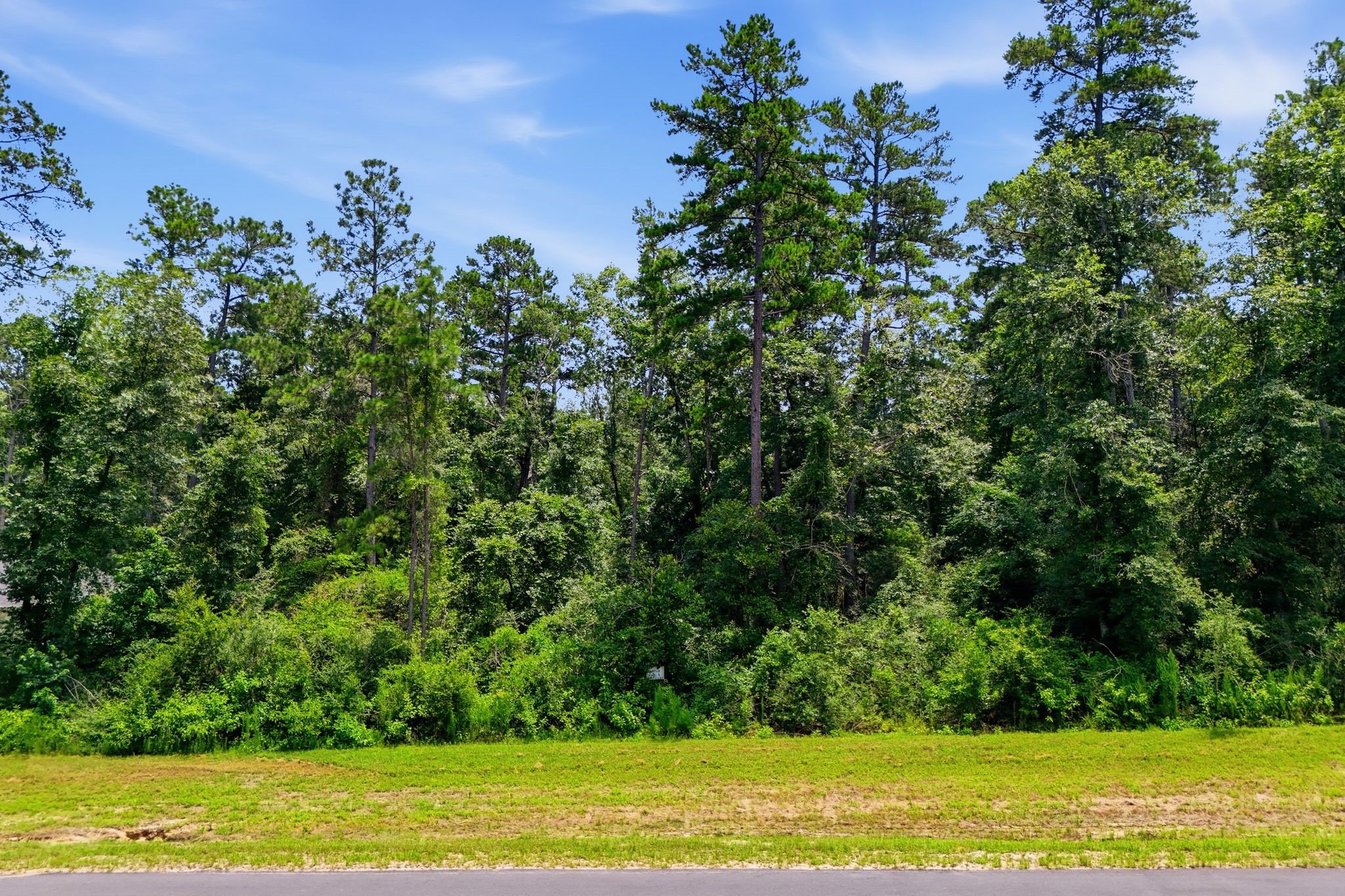 16068 Four Hills Road Willis, TX 77378 - Photo 4 of 29