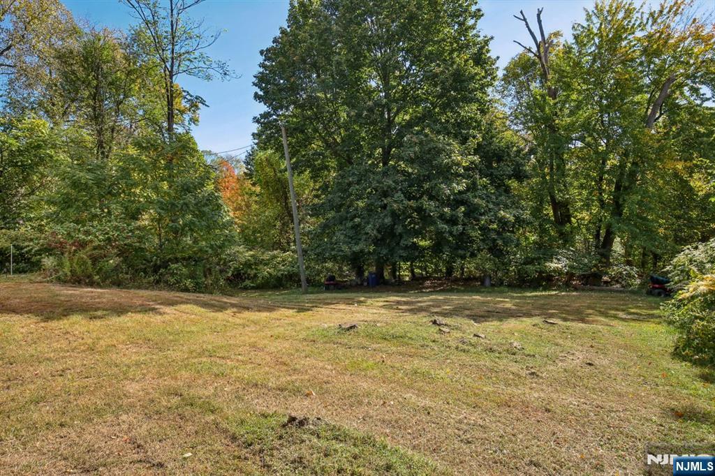 369 Queens Court Ridgewood, NJ 07450 - Photo 27 of 40 a view of a yard with a trees