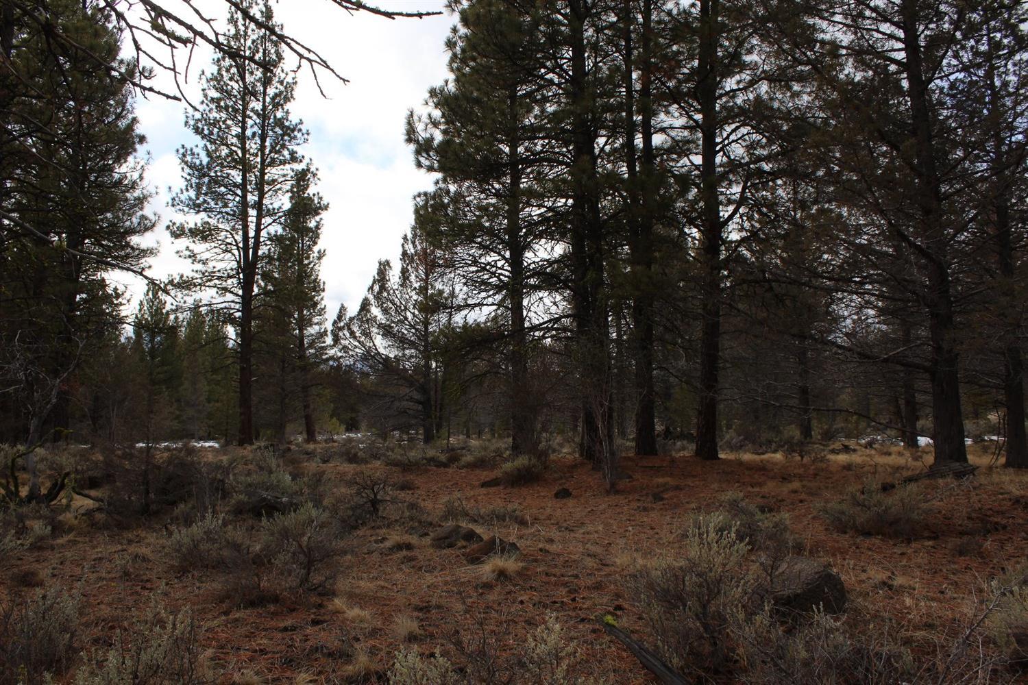 0 High Country Ranch Bly, OR 97622 - Photo 16 of 16 Additional Photo
