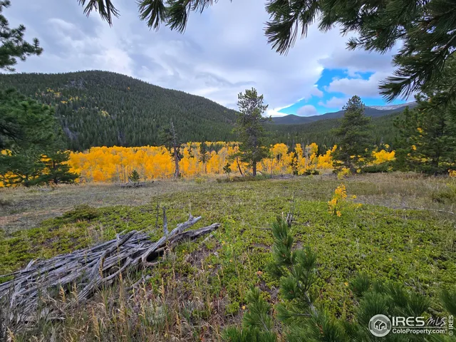 a view of a yard with an outdoor space