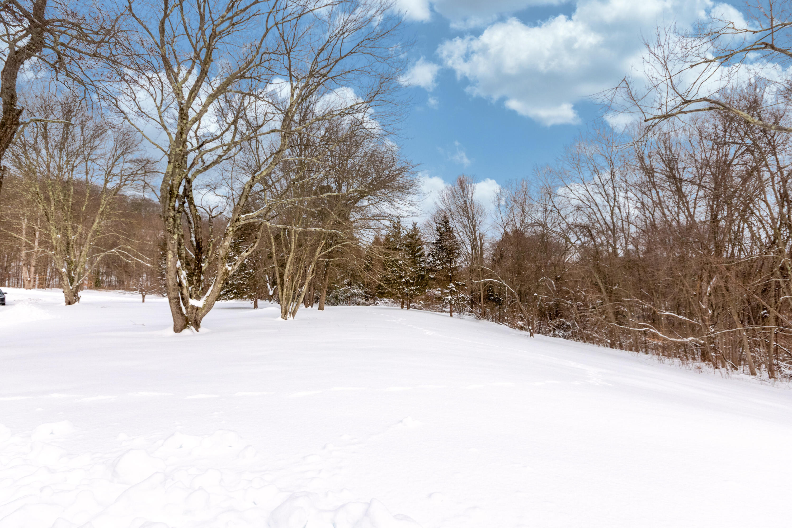 39 Scribner Hill Road Wilton, CT 06897 - Photo 22 of 25