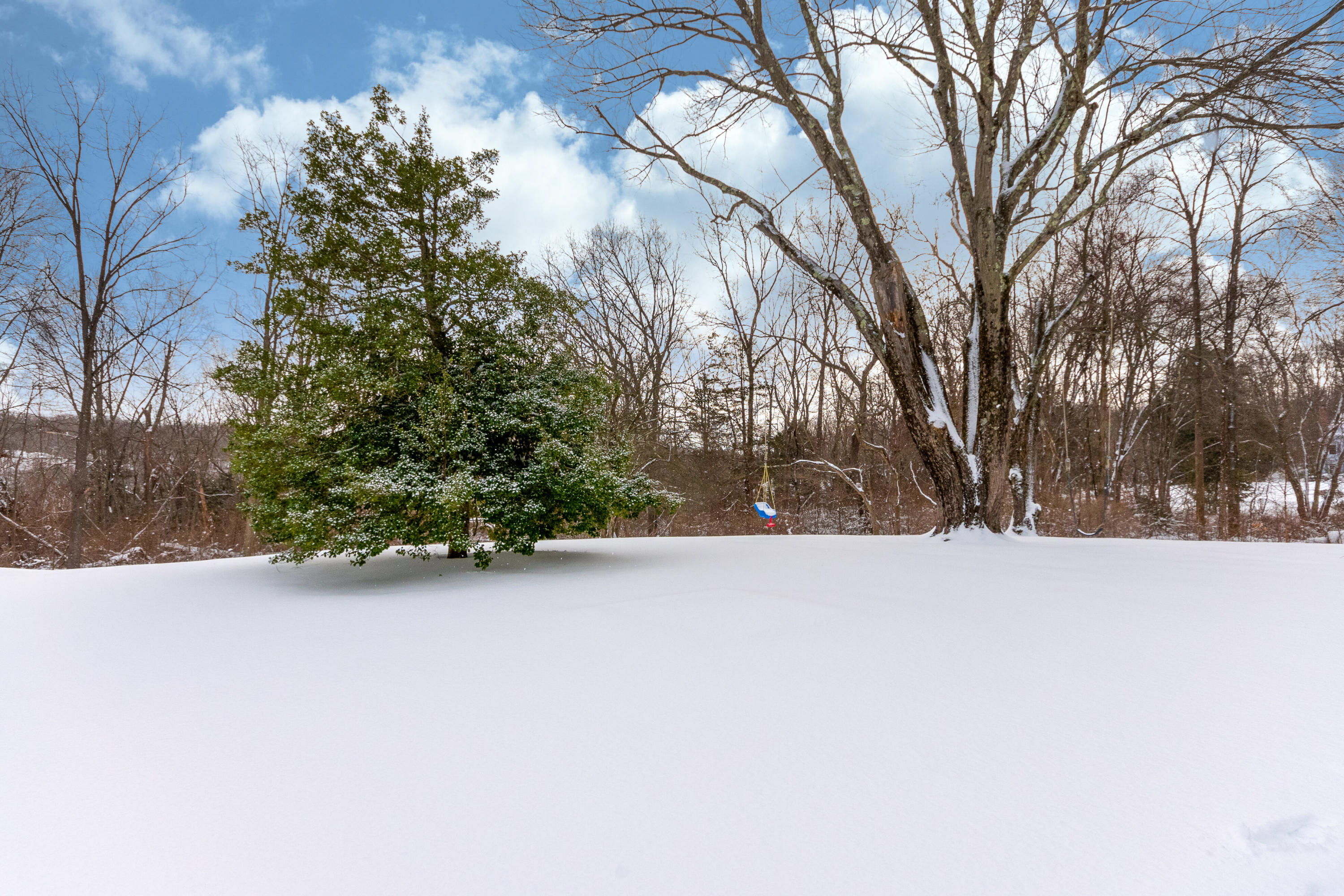 39 Scribner Hill Road Wilton, CT 06897 - Photo 25 of 25 a view of outdoor space and trees
