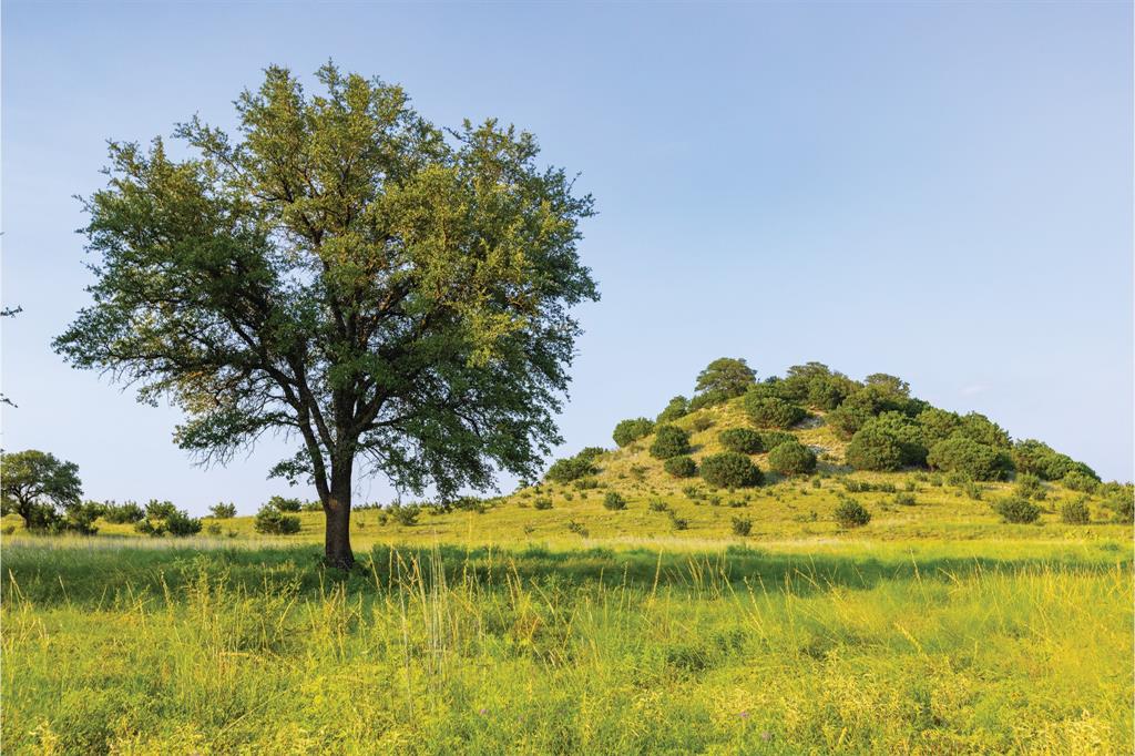 10771 6th Highway Meridian, TX 76665 - Photo 11 of 40 View of local wilderness featuring rural landscape