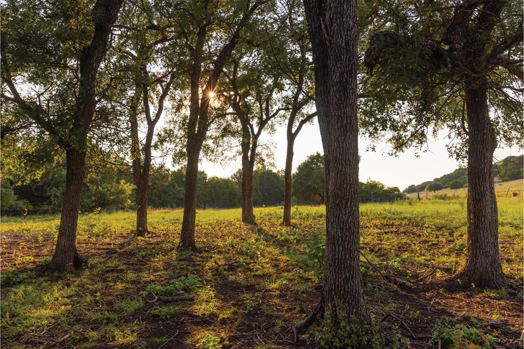 10771 6th Highway Meridian, TX 76665 - Photo 10 of 40 View of undeveloped land