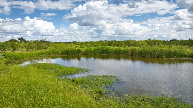 a view of a lake with houses in the back