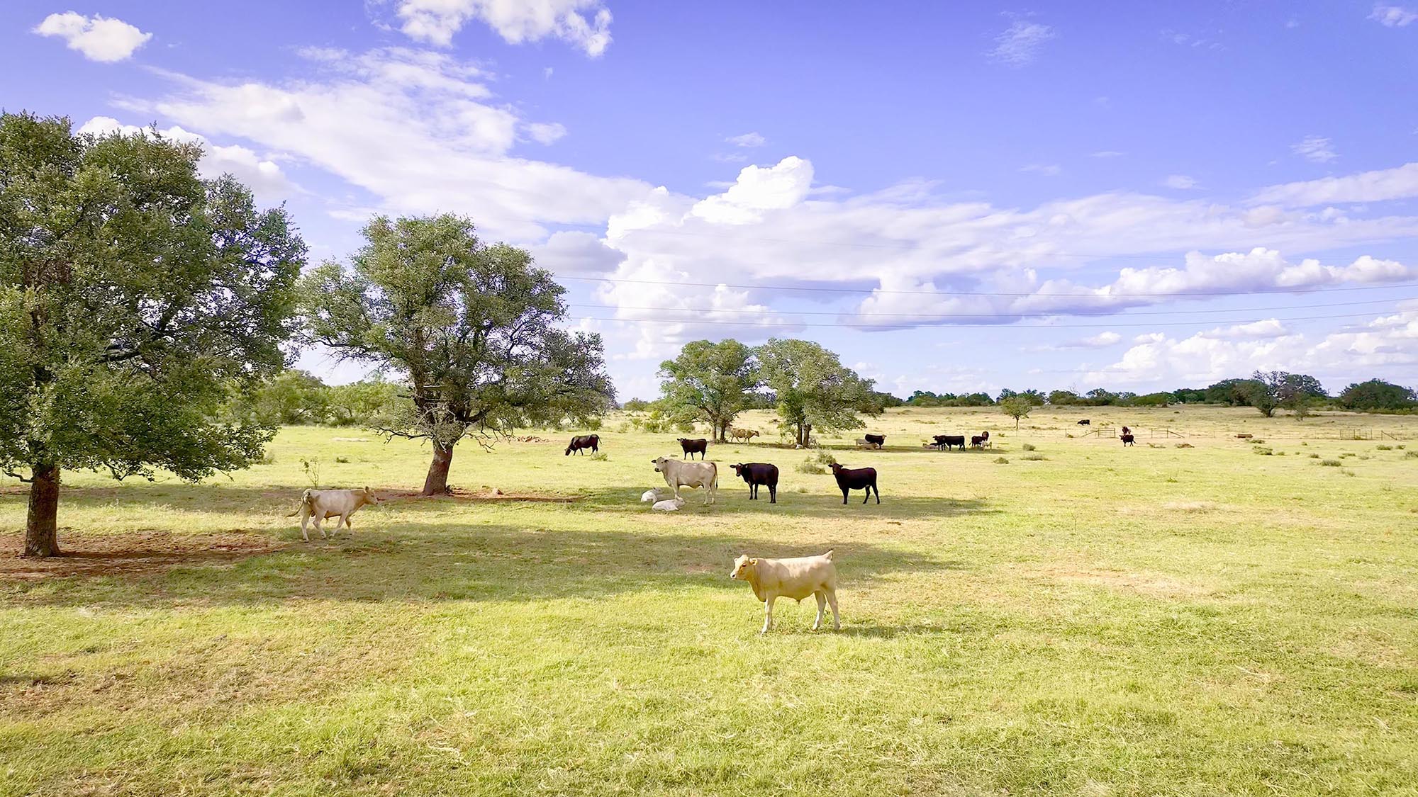 12119 Highway 29 Llano, TX 78643 - Photo 25 of 40 View of grassy yard featuring a rural view