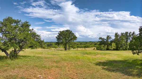 a view of yard with swimming pool and trees in the background