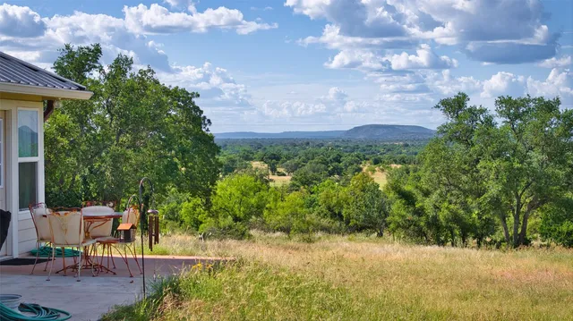 a view of a yard with plants and a bench