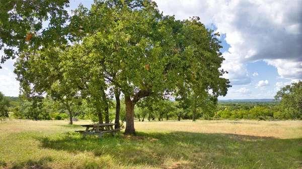 a view of an trees with an outdoor space