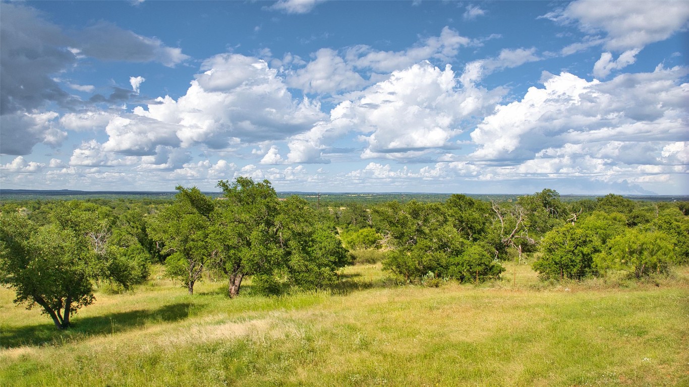 12119 Highway 29 Llano, TX 78643 - Photo 34 of 40 a view of a garden