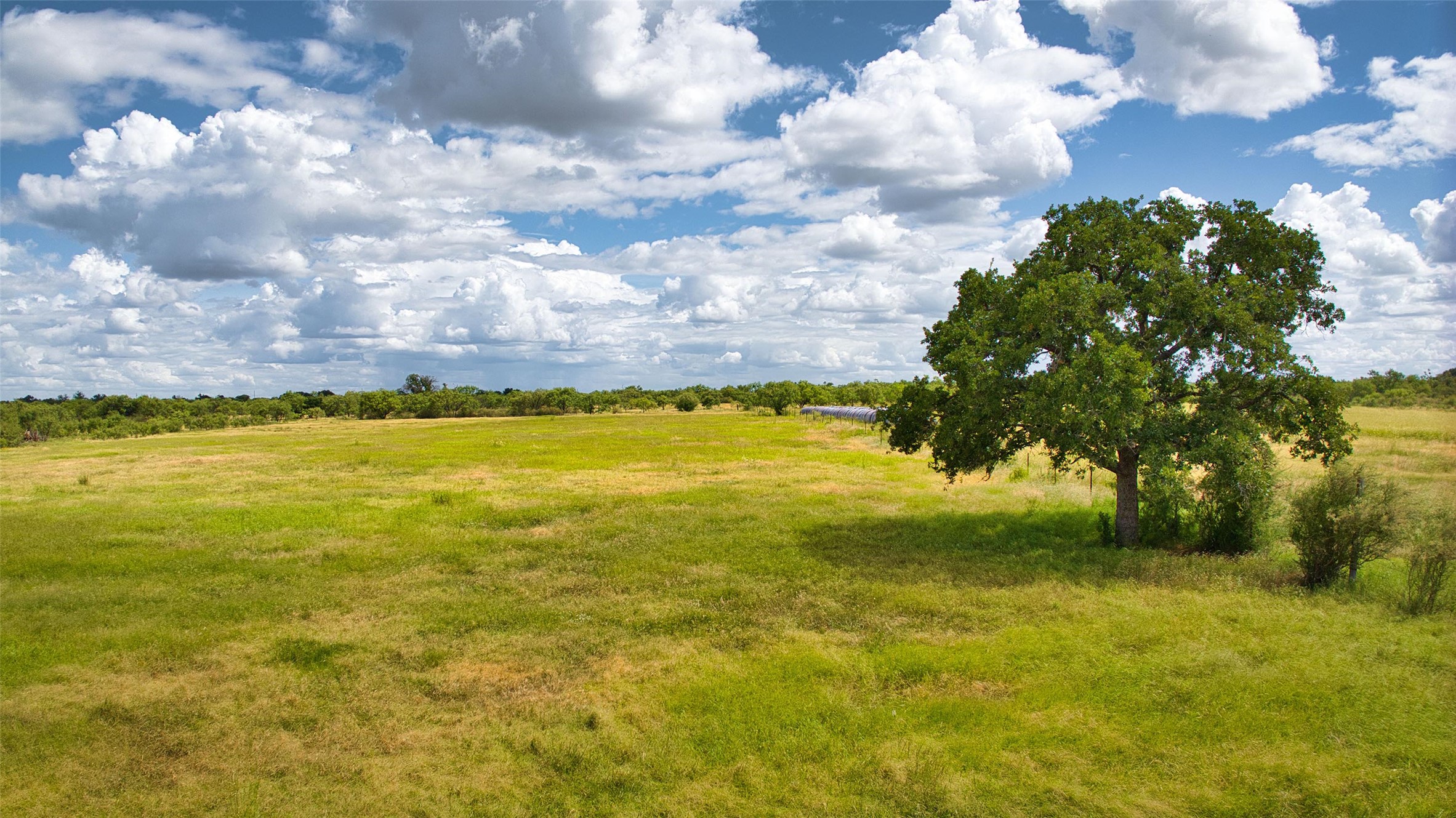 12119 Highway 29 Llano, TX 78643 - Photo 37 of 40 View of local wilderness with rural landscape