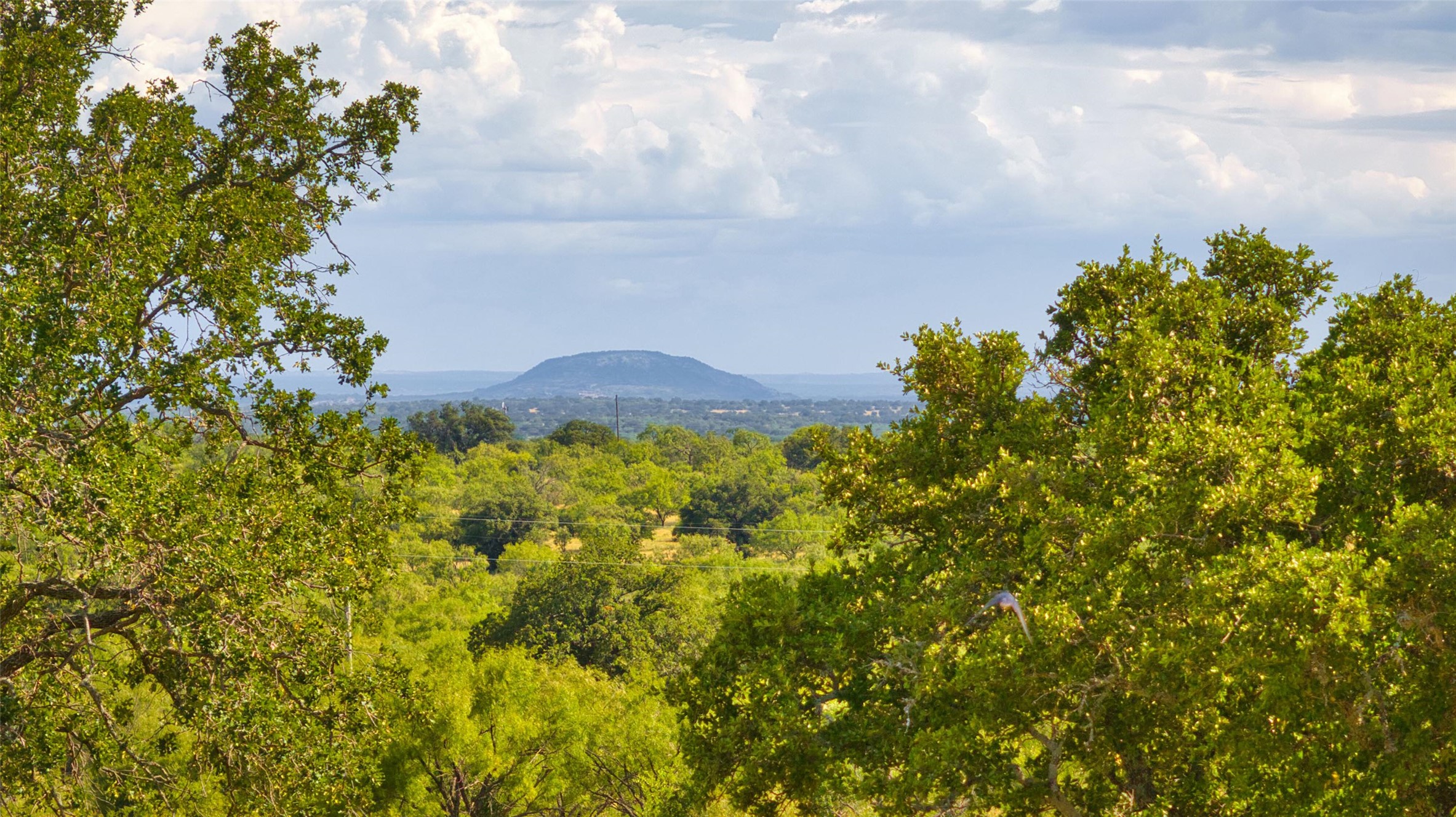 12119 Highway 29 Llano, TX 78643 - Photo 39 of 40 Mountain view with a forest