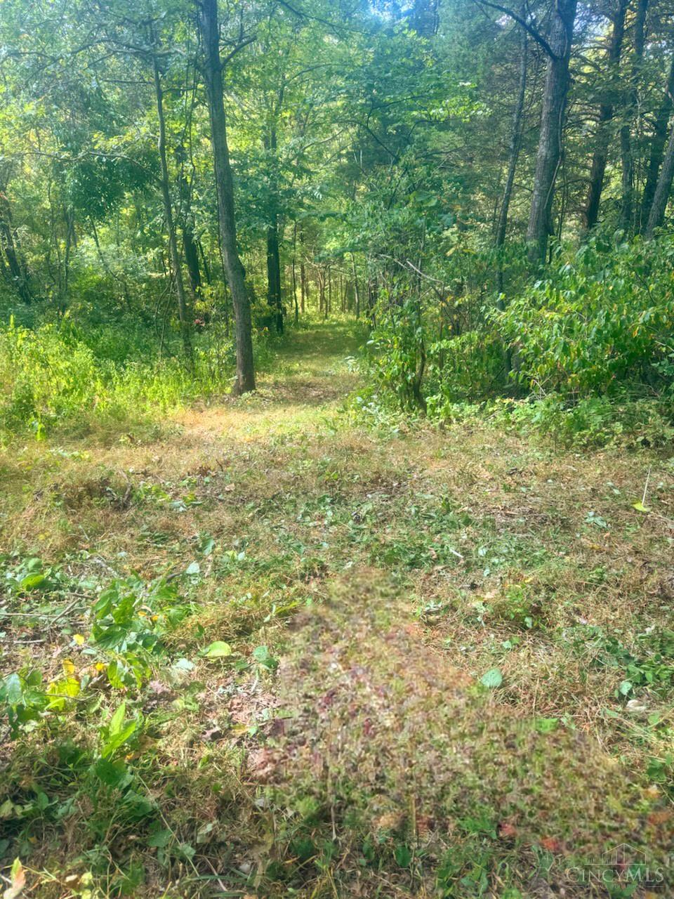 5.08-ac Bear Creek Road Felicity, OH 45120 - Photo 7 of 10