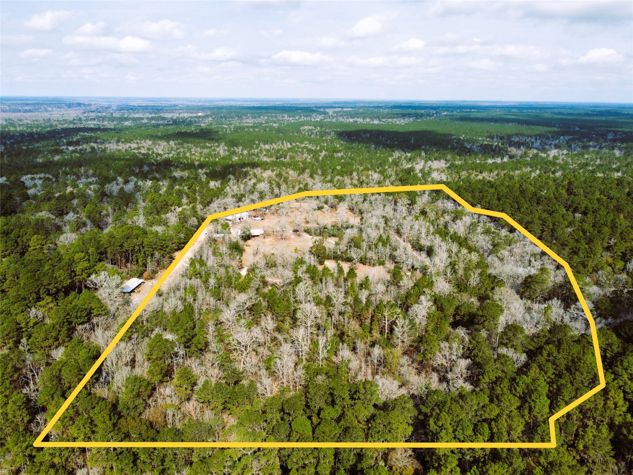 12848 Old Little Road Conroe, TX 77303 - Photo 2 of 46