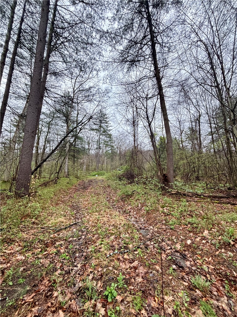 2093 Scott Road Erwin, NY 14858 - Photo 3 of 36 Gallery Image 3