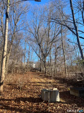 a view of a yard with trees