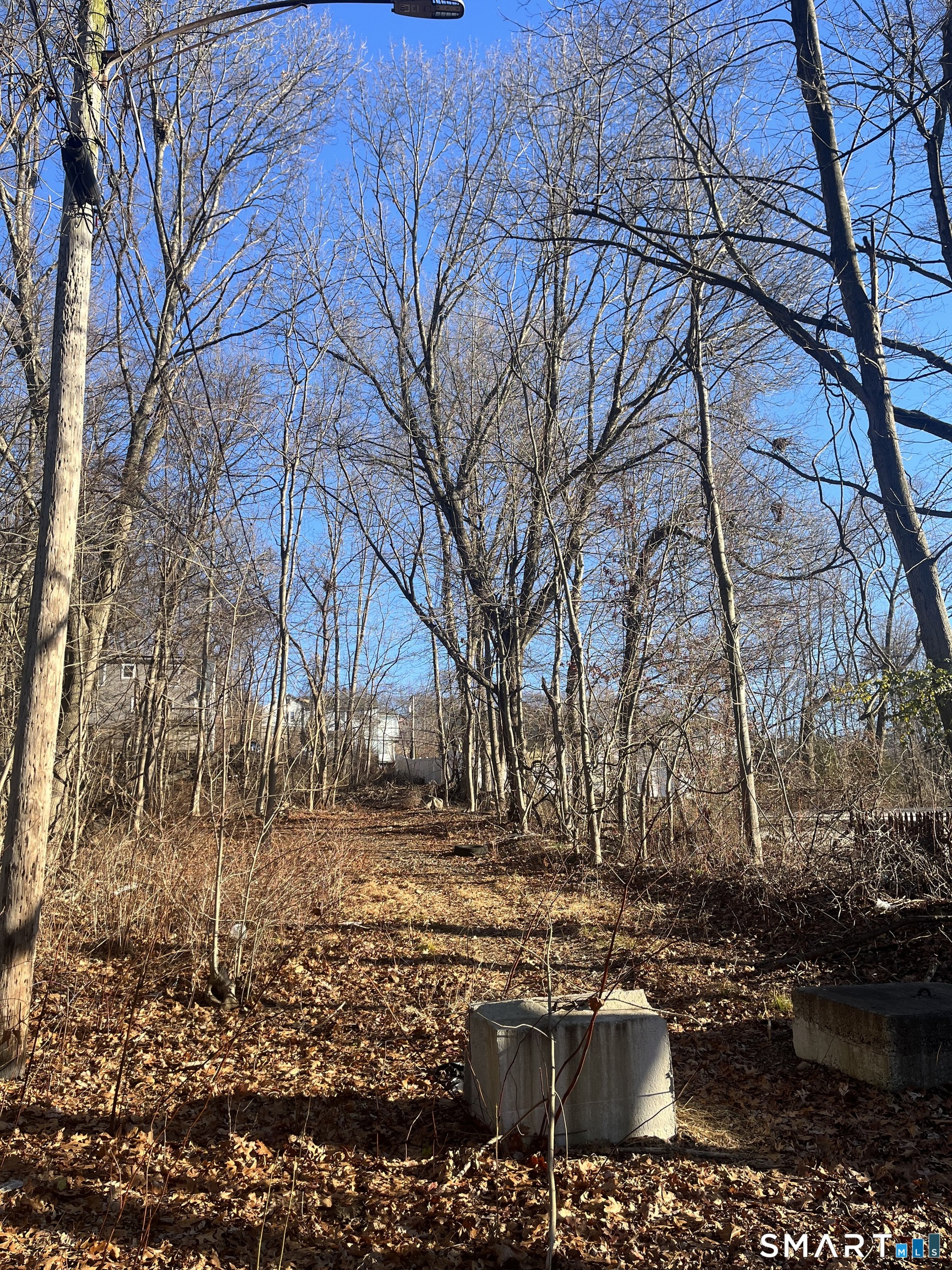 a view of a yard with trees