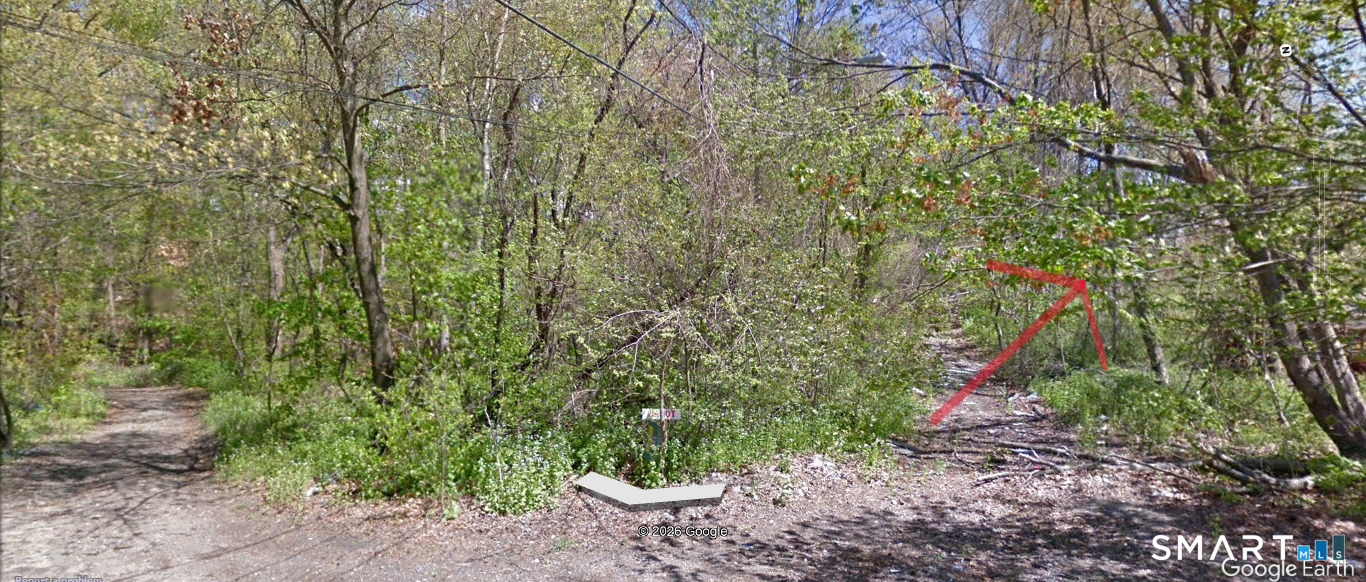 Foote Street Waterbury, CT 06704 - Photo 19 of 20 a backyard of a house with lots of green space
